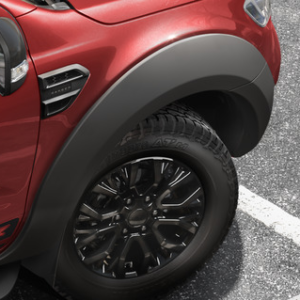 EGR* Sprednji in zadnji blatniki, mat črna